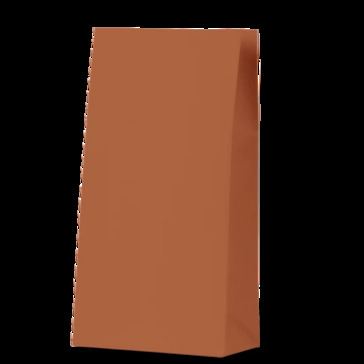 Burnt Orange Medium Coloured Gift Paper Bag - Bee Dee